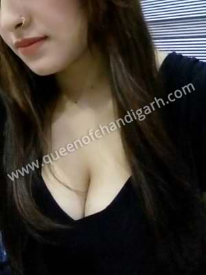 Stunning Amritsar Escort Service