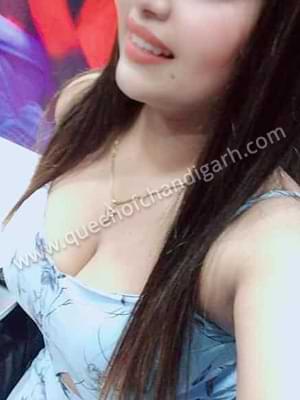 Stunning Jalandhar Escort Service